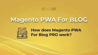 Magento PWA For Blog PRO | How does it work?