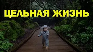 Цельная жизнь | Мой путь