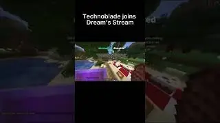 Technoblade joins Dream’s Stream 