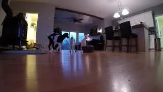 Raising Bottle Baby Goats in the House
