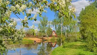 Russian Village Vlog: 1st Warm Weekend 2023 at Our Dacha / Different Russia