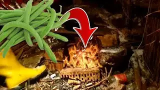 The first night in the hut! I threw the beans in the fire and visited the tent in the field!