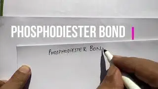 Phosphodiester Bond Lecture(Urdu) Botany III for B.S (Zoology, Botany, Chemistry)