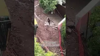 Зачем мука земля? #мексика #стройка