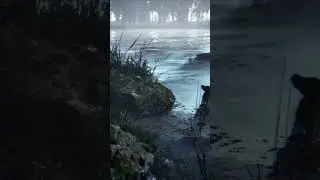 Is this a Game? - MW Broadleaf tree forest Biome Demo Unreal Engine 5