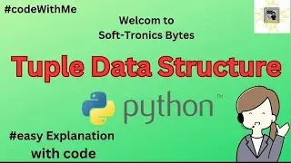 Tuple Data Structure in Python Explanation. 