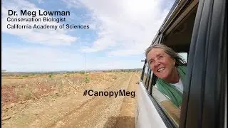 Updates from Ethiopia 2017 - Church Forest Conservation