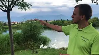 Сирин в гостях. Рассказ про Орнитологический парк и влияние олимпиады на природу.