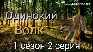 Сериал Одинокий волк 2 серия