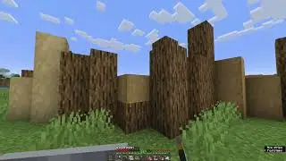 Just playing some Minecraft [5]