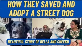 How They Saved and Adopt a Indian Street Dog || Beautiful Story Of Bella and Cheeku