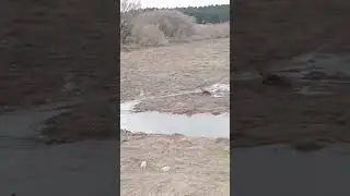 River Речка