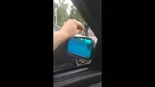 Макдональдс на ВДНХ , атака воробьев на гамбургеры )