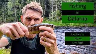 Fishing in Dalarna - Trout Fishing in New Water