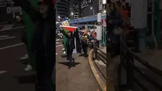 Japan: Demonstrations in support of Palestine in Tokyo