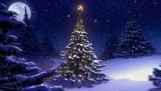 Anuncios diciembre 7 y 8