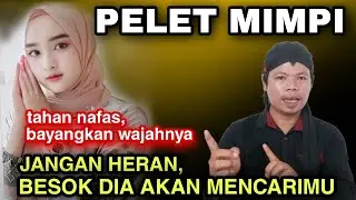 PELET MEDIA MIMPI JARAK JAUH 