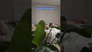 When dad puts the kids to bed