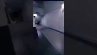What Lurks In The Depths Of The Backrooms?