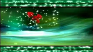 Video Background , wedding Background, Running Background HD 4K  1080P 451