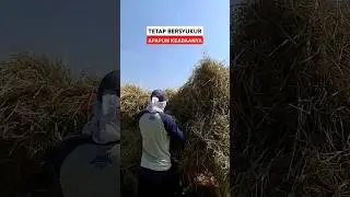 Yang terpenting tidak merugikan orang lain #shortsvideo #trendingshorts #fypシ゚viral