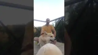 Диместификация Йоги: Вернись! Я всё прощу!