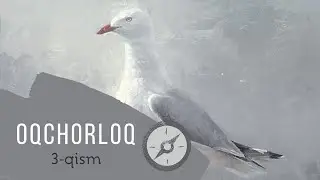 OQCHORLOQ JONATAN LIVINGSTON | RICHARD BAX | 1-QISM