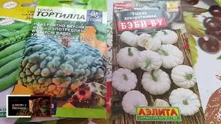 НОВИНКИ СЕМЯН НА СЕЗОН 2022 ГОДА .🌹🍓🌶️🍅🥕🌽🥦🥒🧅🍠. ОБЗОР посылки  . ИНТЕРНЕТ МАГАЗИН СИДПОСТ.РУ