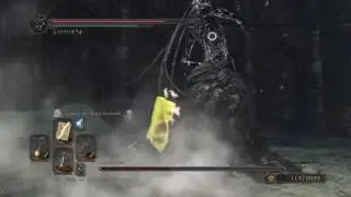 Dark Souls 2 - Nashandra, Queen of Drangleic Boss Fight (NG+4)