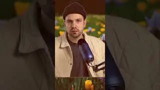 Что снимать для больших просмотров?