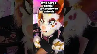 What is a furry? 🤷‍♀️ 