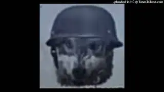 shadowraze - иди нахуй