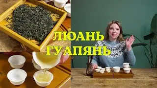 Все о чае Люань гуапянь: дегустация, производство, история.