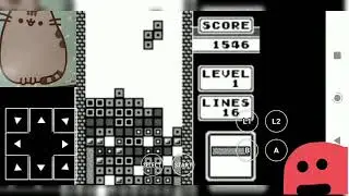 Cat is a god at Tetris