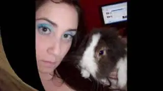 Mi version de Alicia