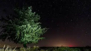 Звуци На Щурци / Релаксиращи Звуци От Природата / Приспиване На Бебе / Crickets  / Relaxing Sounds /