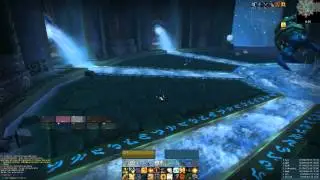 immerseus h