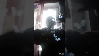 Лайк(11)