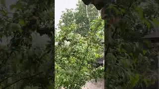 5 мая 2024 г. Qanchalik yoqimli bu yomgir ovozi Ollohimning bisga bergan nemati