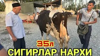 22 августа 2023 г АНДИЖОН ШАХРИХОН ЧУЖА МОЛ БОЗОРИ СИГИРЛАР НАРХИ ANDIJON SHAXRIHON CHÒJA MOL BOZORI