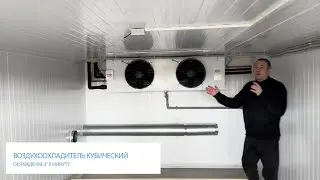 Холодильная камера для конфет 🍬