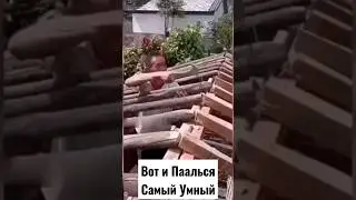 Мастер номер,1.