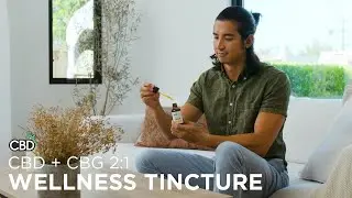 CBDfx CBD + CBG Oil Wellness Tincture | 248+ Positive Reviews