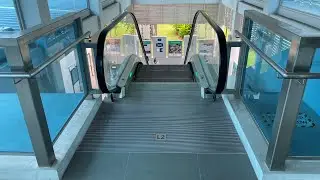 SIGMA VERA ESCALATOR @ SINGAPORE POLYTECHNIC BLOCK T1A