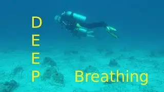 Deep Breathing | Relaxation | Peaceplace | Snorkling | Tropical Fish | Ocean Life | Bonaire
