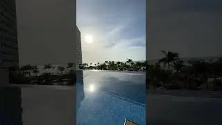 Swim Up Suite Views ☀️ 🍹 #travel #allinclusive
