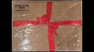 СЮРПРИЗ БОКС гигабокс за 999р