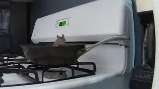 Souris Chef