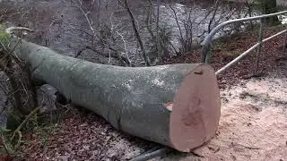 New feature on the riverside walks