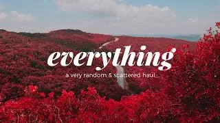 Everything-a random & scattered haul